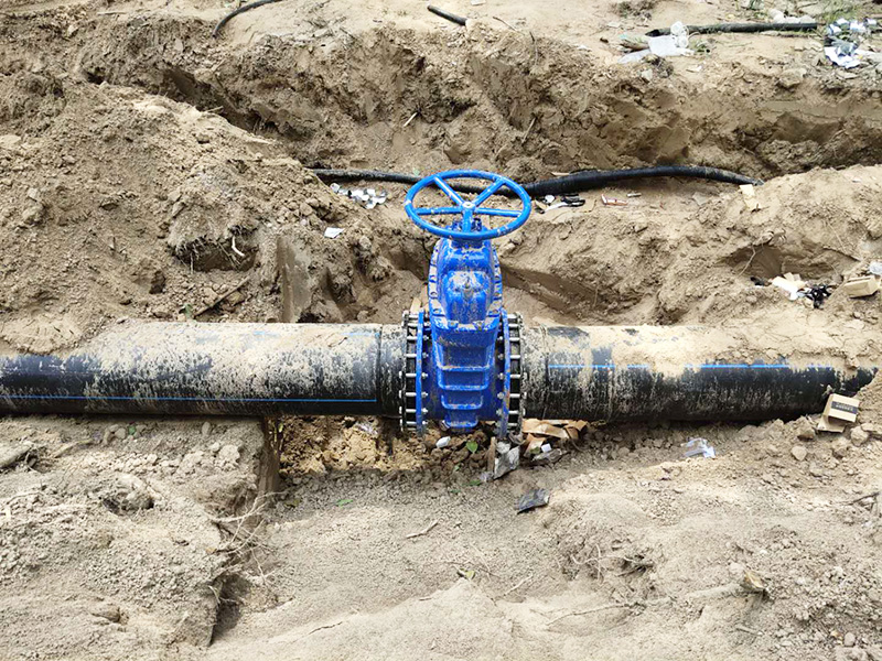 Nanqiao District Drought-Resistant Agricultural Drinking Pipe Network Extension Project in 2019